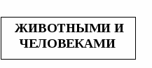 Тесты по окружающему миру 3 класс