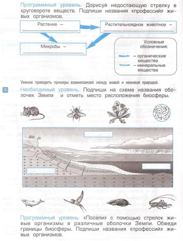 Рабочая программа по окружающему миру