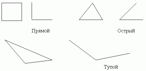 Рабочая программа по математике 5-6 класс