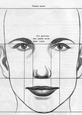 Конспект урока «Конструкция головы человека и ее пропорции».