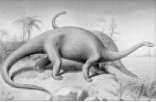Приложения к научно- исследовательскому проекту на тему: Динозавры-загадки истории 5 класс