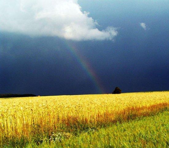 Классный час по теме Большая и малая Родина