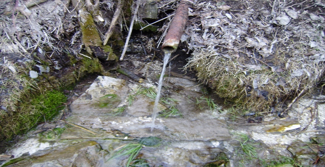 Проектно- исследовательская работа «Где вода, там жизнь»