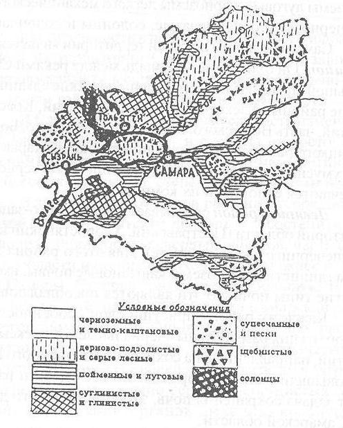 Урок по географии «Исследование и использование почв города Кинеля и Самарской области»