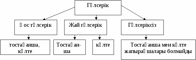 Биология пәнінен ашық сабақ 6 класс