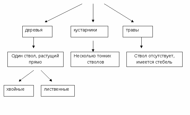 Открытый урок по познанию мира на темуРастение- живой организм