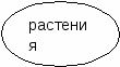 Открытый урок по познанию мира на темуРастение- живой организм