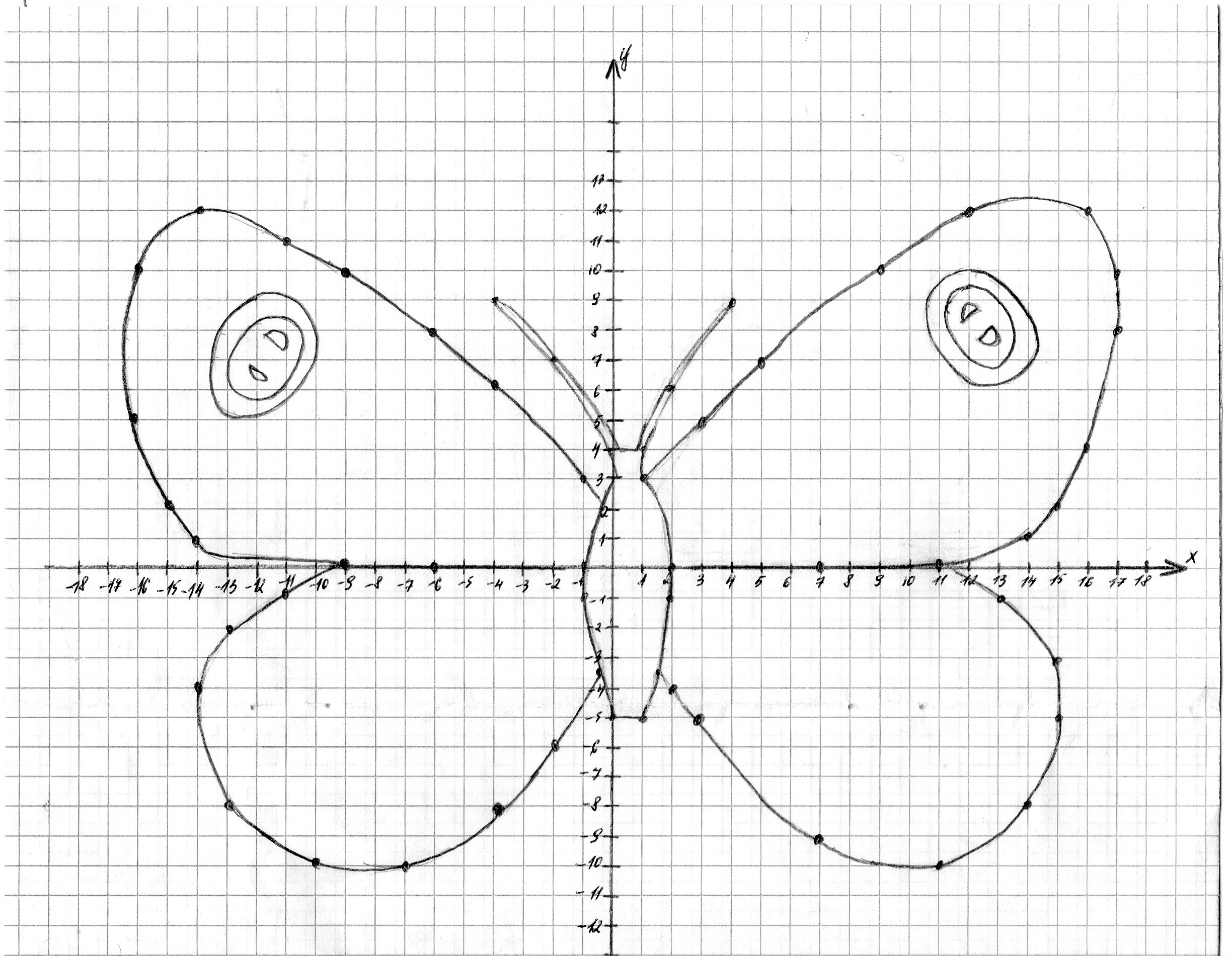 Урок по математике для 6 класса по теме «Бабочки из красной книги Томской области»