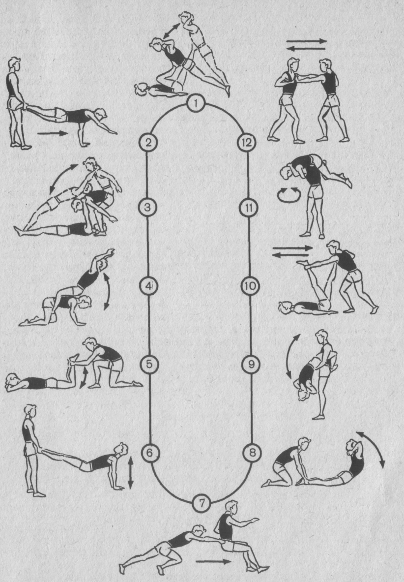 Круговые упражнения. ОФП круговая тренировка упражнения. ОФП методом круговой тренировки. Комплекс круговой тренировки для лыжников. Комплекс упражнений для круговой тренировки по легкой атлетике.