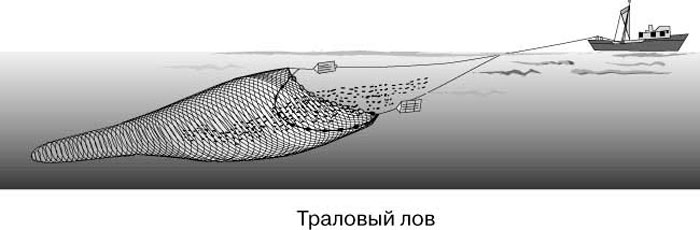 Ребусы на тему: Устройство автомобиля