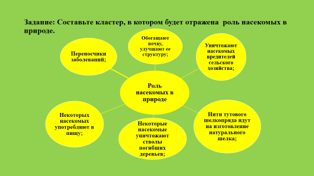 Кластер по биологии 7 класс