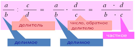 Сборник уроков для 5 класса