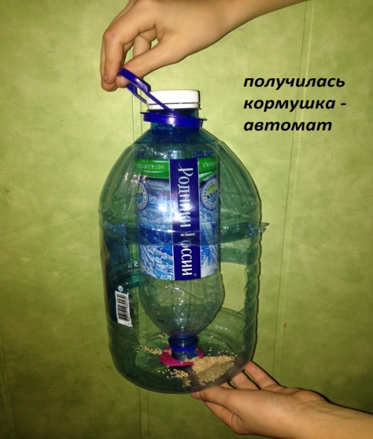 Разработка мастер класса «Кормушка для птиц из пластиковых бутылок»