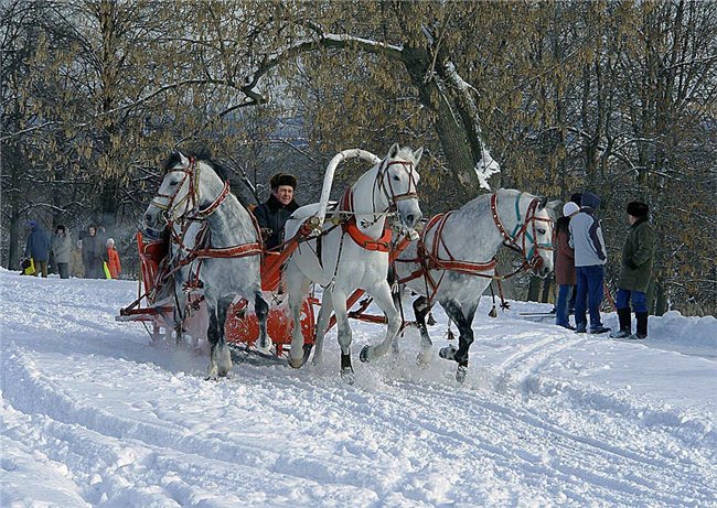 Конспект урока Зимние праздники России