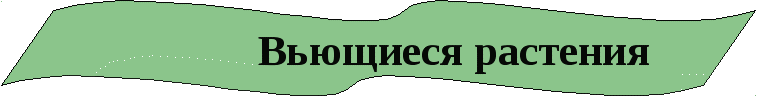 Дидактический материал по цветоводству по профессии 17531 Рабочий зелёного хозяйства