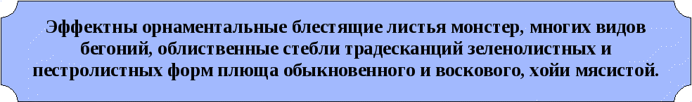 Дидактический материал по цветоводству по профессии 17531 Рабочий зелёного хозяйства