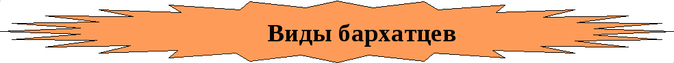 Дидактический материал по цветоводству по профессии 17531 Рабочий зелёного хозяйства