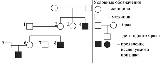 Сборник задач по генетике