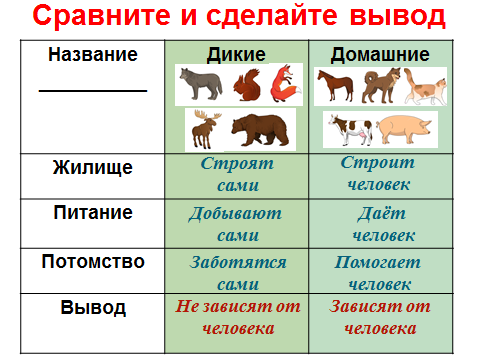 Урок проект по окружающему миру Дикие и домашние животные