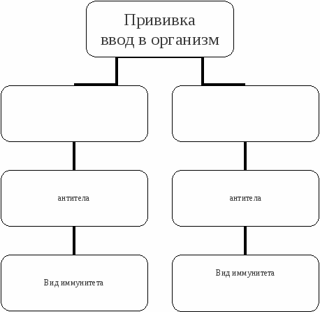 Рабочий лист по биологии 8 класс по теме Иммунология и здоровье