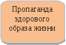 «Маленькие лучики – большого солнца» Физкультурно-оздоровительная программа