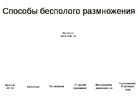 Методическая разработка уроков Тема: «Размножение и индивидуальное развитие организма».