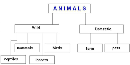 Методическая разработка урока английского языка в 7 классе по теме Животные в нашей жизни