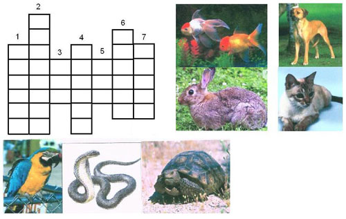 Методическая разработка урока английского языка в 7 классе по теме Животные в нашей жизни
