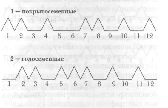 Графический диктант как средство текущей проверки знаний