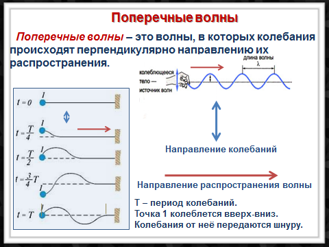 Конспект урока Поперечные и продольные волны 9 класс