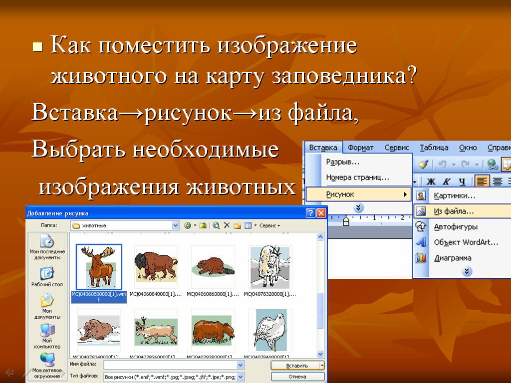 Факультативный курс «Методика изучения компьютерной графики в общеобразовательной школе»