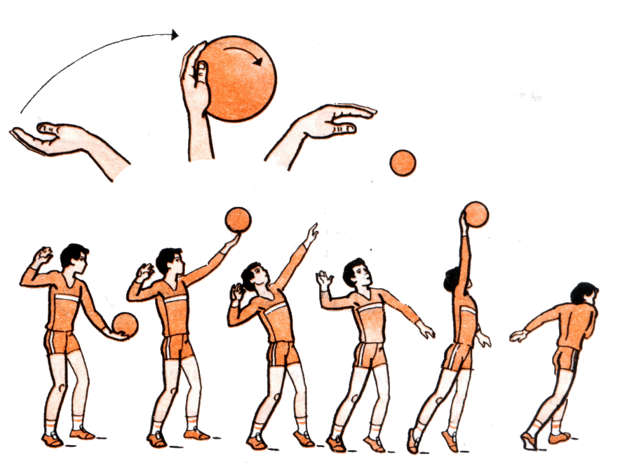 Технологическая карта урока по физкультуре Обучение техническим элементам и приемам в волейболе