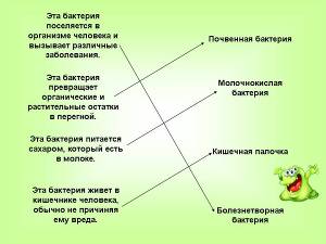 Применение компьютерных технологий на уроках окружающего мира