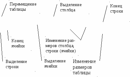 Практические работы по дисциплине Информационные технологии