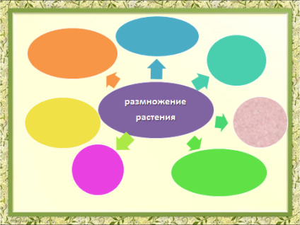 Разработка открытого урока по познанию мира во 2 классе на тему Размножение растений