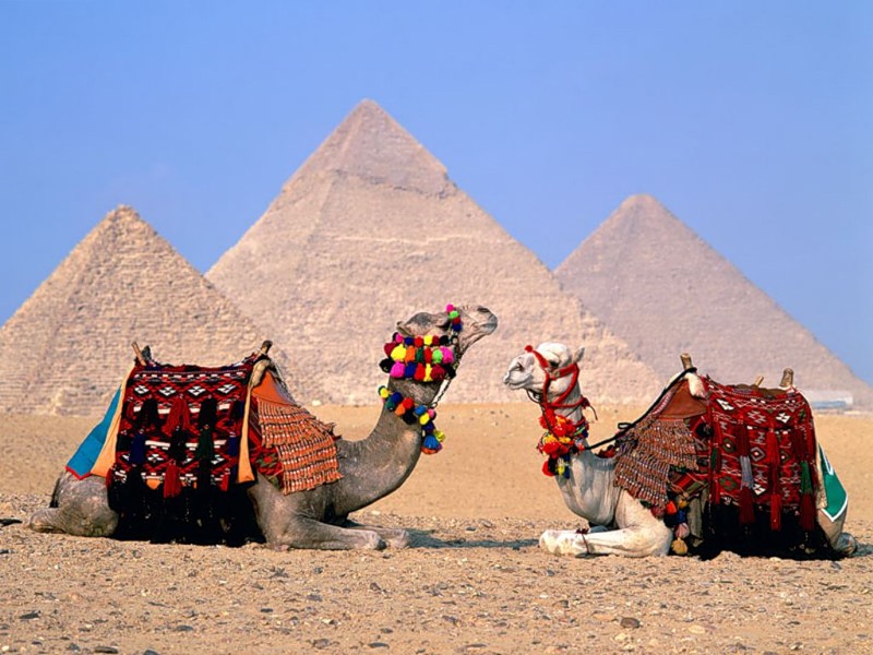 День летних именинников Игра « ПОЛЕ ЧУДЕС» по теме « Египет. Интересные факты»