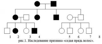 Урок «Генетика человека. Методы исследования генетики человека»