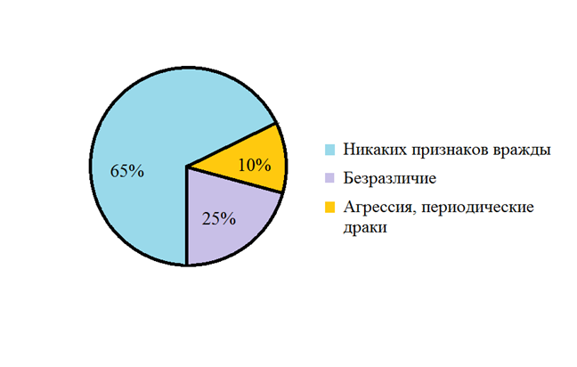 Исследовательский проект «Кошка и собака – друзья или враги? »