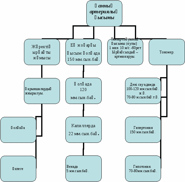 Қанның артериялық қысымы. Қанның тамырлармен қозғалысы. 8 сынып