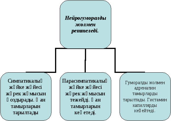 Қанның артериялық қысымы. Қанның тамырлармен қозғалысы. 8 сынып