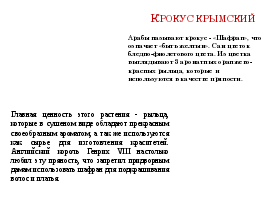 Конспект воспитательного мероприятия Редкие растения Крыма (5-6 классы)