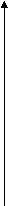 Білімдіге биіктен орын 5-сыныптар арасындағы сайыс