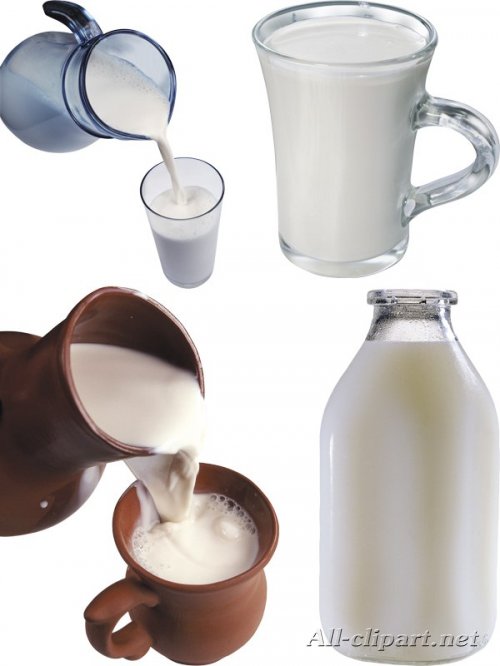 Методические материалы Молочные продукты