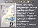 ИСПОЛЬЗОВАНИЕ ПОЧТОВЫХ МАРОК НА УРОКАХ ГЕОГРАФИИ (НА ПРИМЕРЕ ТЕМЫ «ЖИВОТНЫЕ АНТАРКТИКИ»)