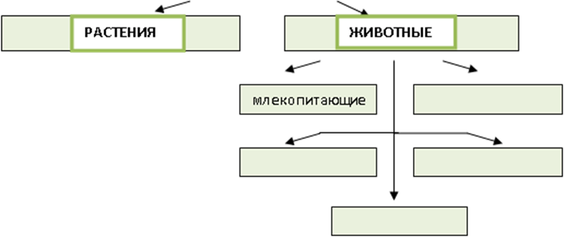 Контрольная работа по теме Биосфера 6 класс