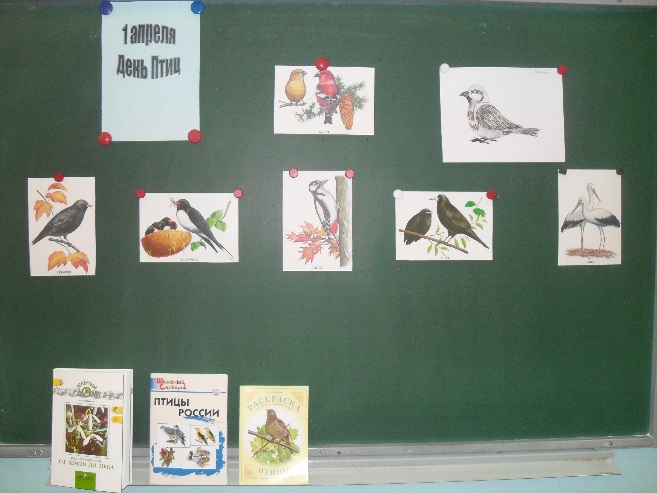 Праздник-игра Знатоки птиц 3 класс