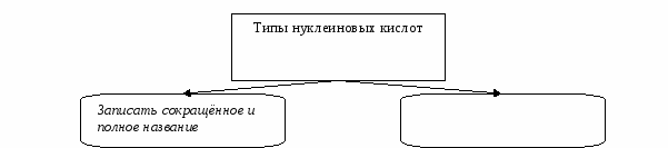 Урок биологии по теме Нуклеиновые кислоты (8 класс)