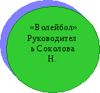 Программа по дополнительному образованию ГОУ СПО ТМТгТаштагола