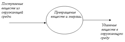 Тема: Обмен веществ и энергии. 8 класс