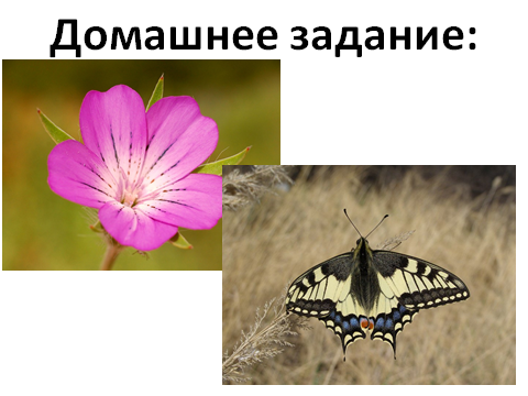 Технологическая карта урока: Вставка рисунков из файла. Перемещение рисунков в редакторе Paint.